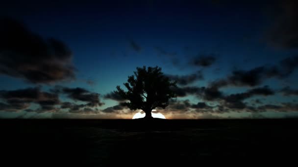 Beautiful timelapse sunrise with solitary island and tree surrounded by ocean, tilt — Stock Video