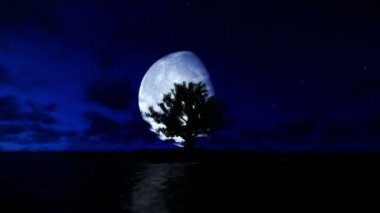 Soliter Island ve okyanus ile çevrili ağaç timelapse gece gün için