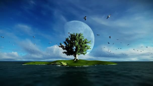 Isla solitaria y el árbol rodeado de mar con las gaviotas volando, mañana con luna llena — Vídeos de Stock