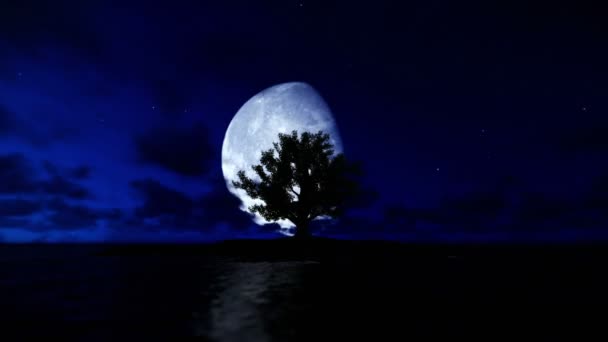 Odludna wyspa i drzewo otoczony oceanem timelapse noc na dzień — Wideo stockowe