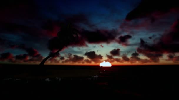 Tropický ostrov s Palmou, obklopen oceánem, krásné timelapse sunrise — Stock video