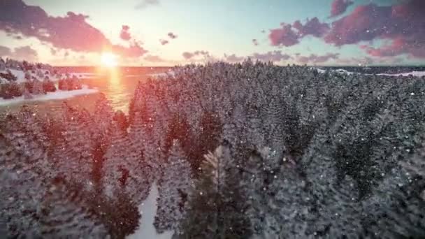 Kreuzfahrt über Forest Hills und Meer, wunderschönen Sonnenaufgang, Schneefall — Stockvideo