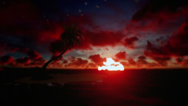 Tropische Insel, umgeben vom Ozean mit Möwen fliegen bei Sonnenaufgang — Stockvideo