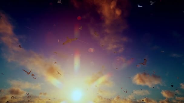 Buque de carga de vela, puesta de sol timelapse de nubes y gaviotas, con sonido — Vídeos de Stock