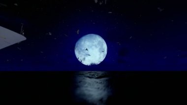 Cruise gemi yelken, dolunay ve martılar, ses dahil