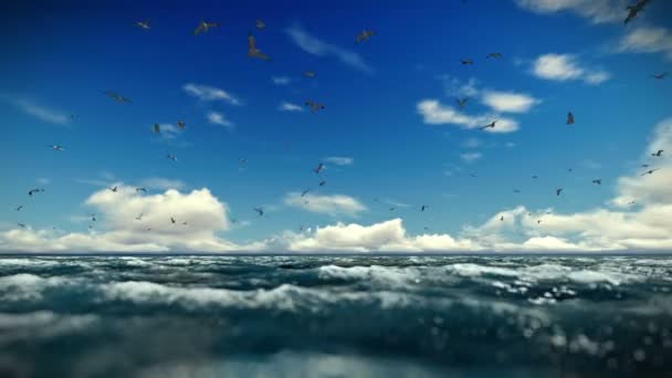 Грубое море и чайки, timelapse облака, звук включен — стоковое видео