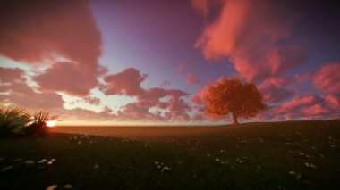 Yalnız ağaç üzerinde yeşil çayır, zaman atlamalı günbatımı