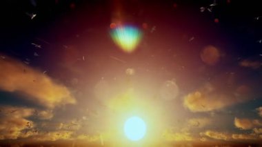 Uçan martı ile güzel gündoğumu