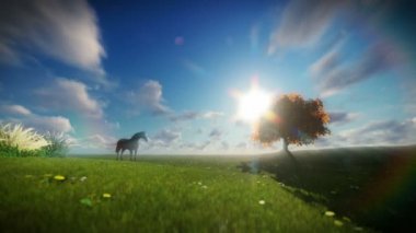 Güzel at ve hayat ağacı timelapse bulutlar karşı