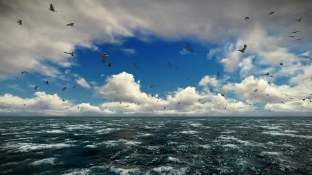Κρουαζιέρα πλοίο ιστιοπλοΐα, timelapse απόγευμα σύννεφα και γλάρων, ήχου συμπεριλαμβάνεται — Αρχείο Βίντεο