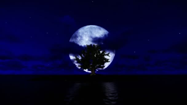 在孤独的小岛的海洋和满月，倾斜棵孤独的树 — 图库视频影像
