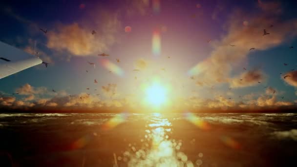 Plavba lodí plachtění, čas zanikla sunrise a racky, zvuk zahrnuté — Stock video