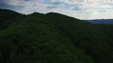 Yeşil orman ve dağ mavi gökyüzü, havadan görünümü