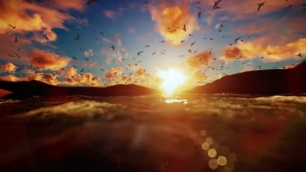Sjö omgiven av kullar med måsar flyger mot vacker soluppgång — Stockvideo