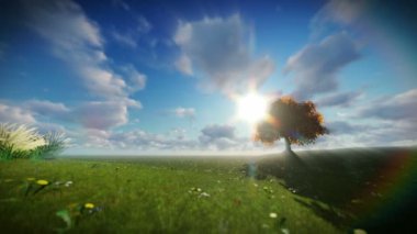 Yalnız ağaç yeşil çayır, zaman atlamalı bulutlar üzerinde