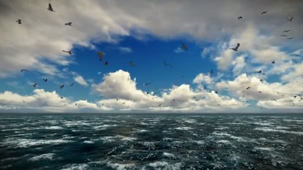 Áspera mar y timelapse de nubes por la tarde, las gaviotas volando, sonido incluido — Vídeos de Stock