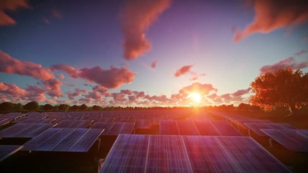 Güneş panelleri, timelapse günbatımı, havadan görünümü — Stok video