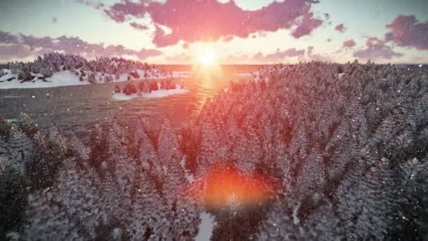 Lever du soleil sur les collines de la forêt et de la mer, qu’il neige — Video