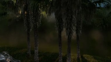 Palmiye yağı ağaç Ekim güzel objektif bokeh karşı