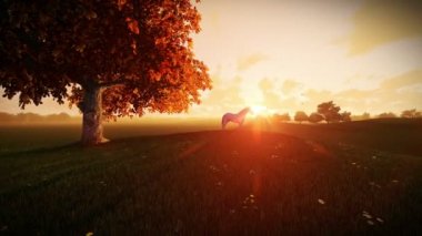 Beyaz atın ve gündoğumu, tilt, hayat ağacı