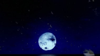 Cruise gemi yelken dolunay ve martılar, tilt, ses dahil