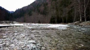 Nehir akışı ormanda, kış