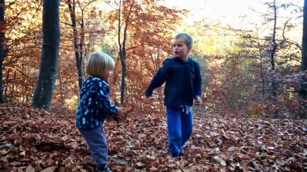 Маленькі хлопчики грають з листям у лісі — стокове відео