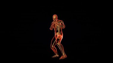 Sporcu boksu kusursuz döngü, x-ray görüntüleyici, siyah arkaplan