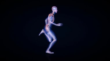 Atletizm kusursuz döngü, x-ray görüntüleyici, siyah arkaplan