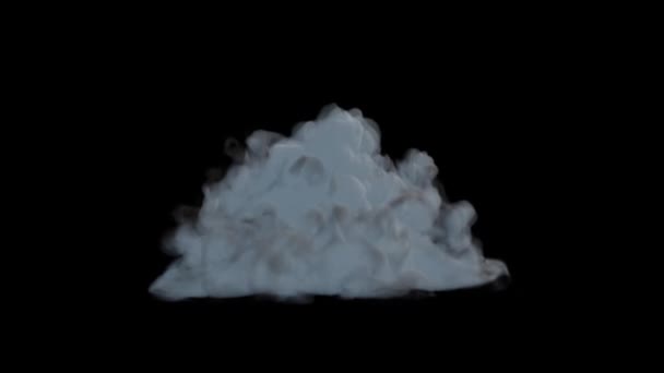Fum Gheață Uscat Care Curge Fundal Negru — Videoclip de stoc