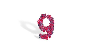 Gül yaprakları ve elmaslardan yapılmış on taneden geriye sayım, beyaz arka plana karşı.