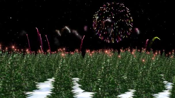 カラフルな花火大会 アルファチャンネルに対するクリスマス休暇の木 — ストック動画