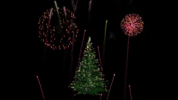 Kerstverlichting Boom Groeien Tegen Vuurwerk Display Luma Matte — Stockvideo