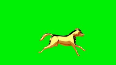 Altın kurt kusursuz dönüyor, Yeşil Ekran