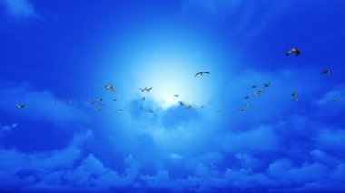 Mavi gökyüzünde uçan vahşi ördekler