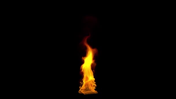 炎の閉じ込め シームレスなループ アルファチャンネル — ストック動画