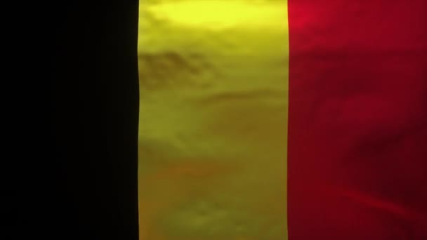 Belgium Coronavirus Covid19 Pontos Modelljének Feltárása Érdekében Kitépett Zászló — Stock videók