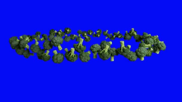 Brokkoli Repül Körbe Zökkenőmentes Hurkot Kék Képernyő Chromakey — Stock videók