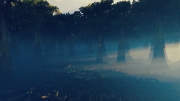 Camera Flight Dark Spooky Forest Covered Fog — Stock Video