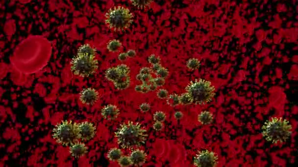 Кров Яний Потік Клітинами Забрудненими Коронавірусом Covid19 Лума Матте — стокове відео