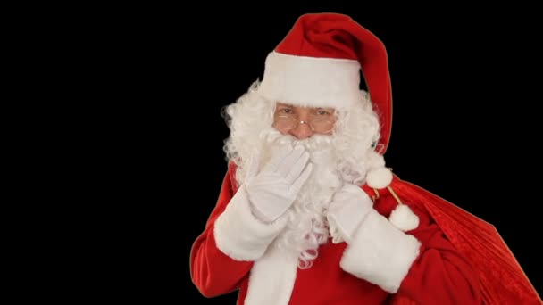 Çantasını Taşıyan Noel Baba Kameraya Bakıyor Bir Ekip Yolluyor Sallıyor — Stok video