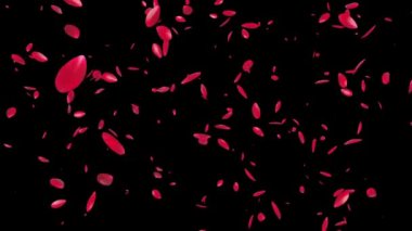 Gül Yaprakları Uçuyor, Luma Matte