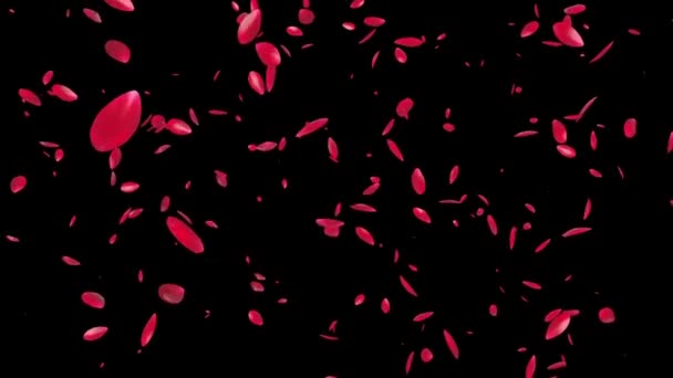 Rosenblätter Fliegen Luma Matte — Stockvideo