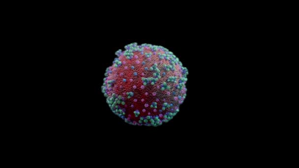 Model Akurat Dari Coronavirus Covid19 Berputar Loop Mulus Luma Matte — Stok Video
