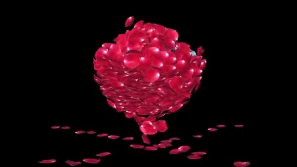 Diamante Che Attrae Petali Rosa Luma Matte — Video Stock