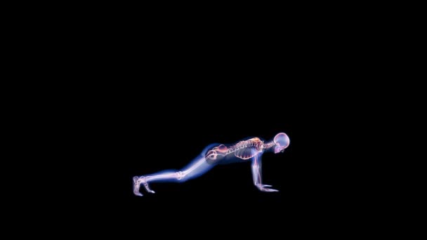 Людське Рентгенівське Тіло Скелет Штовхання Петлі Альфа Канал — стокове відео