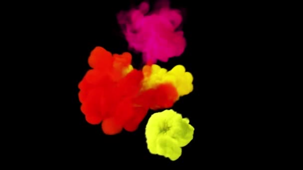 Explosion Poudre Colorée Alpha Channel Mov — Video