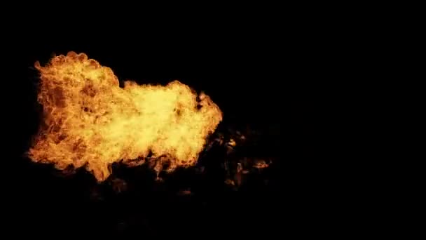 Fire Flames Isolated Black — Stock Video