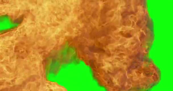 Gros Plan Sur Transition Des Flammes Feu Écran Vert Chromakey — Video