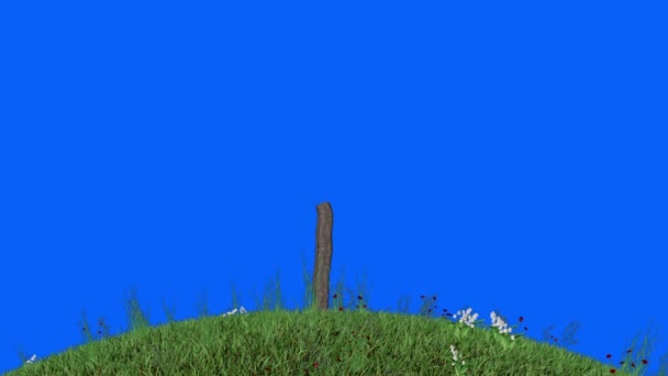 Tree Timelapse Growing Flower Blooming Field Blue Screen Chromakey — Stock Video